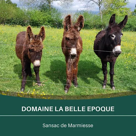 La Belle Epoque De Marmiesse - 4 De 2 A 6 Personnes - Petit Dej - 15 Minutes D'aurillac - Cantal Σπίτι διακοπών Sansac-de-Marmiesse